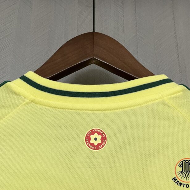 Miniatura de Camisa Futebol Seleção da País de Gales – Modelo 2025