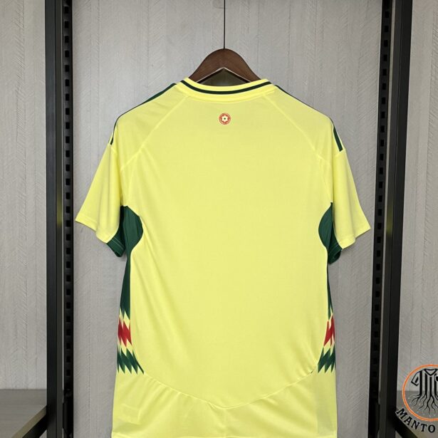 Miniatura de Camisa Futebol Seleção da País de Gales – Modelo 2025